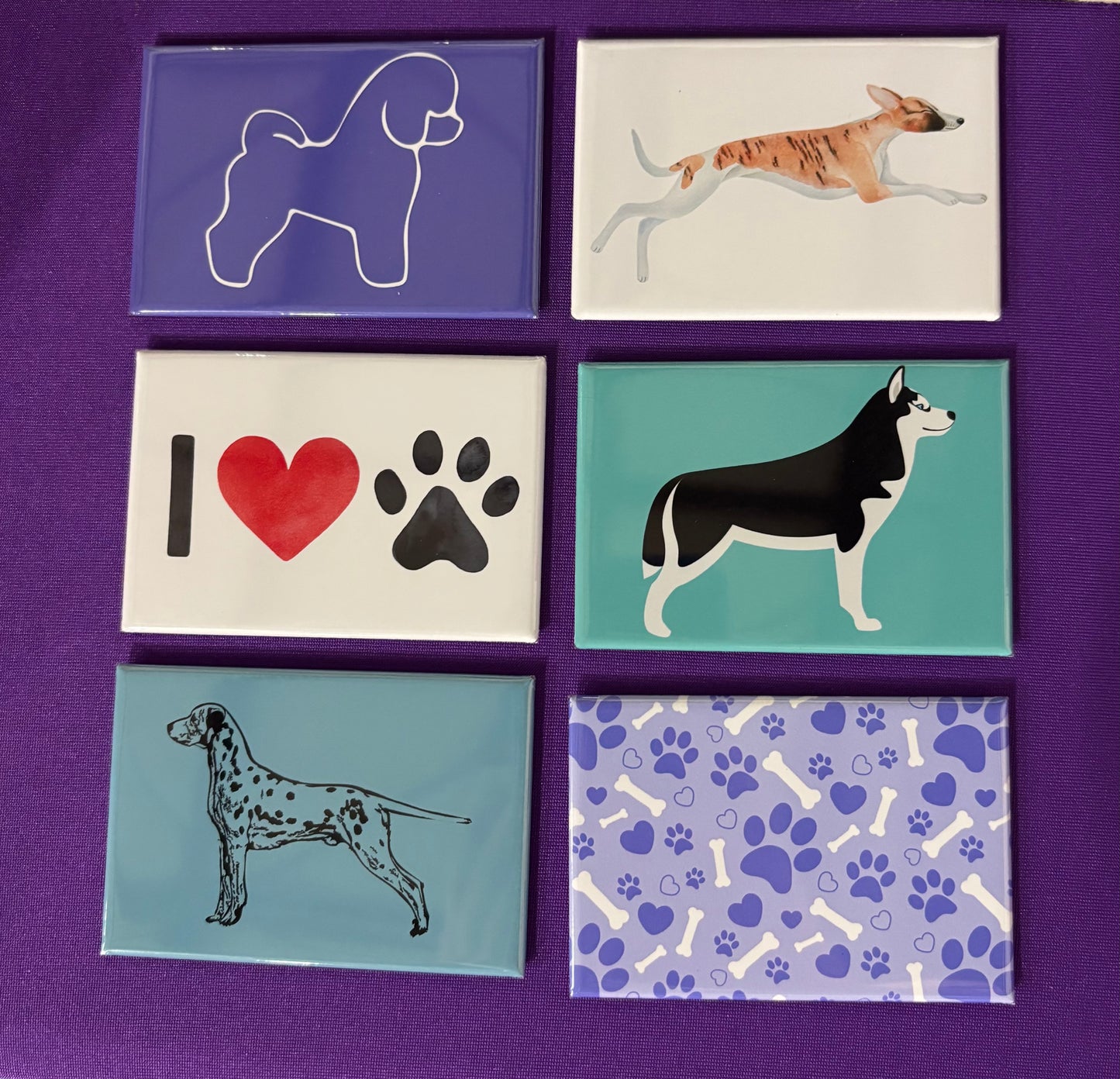 Dog show - 2" x 3" photo magnets, singles or set of 6, 9, or 12