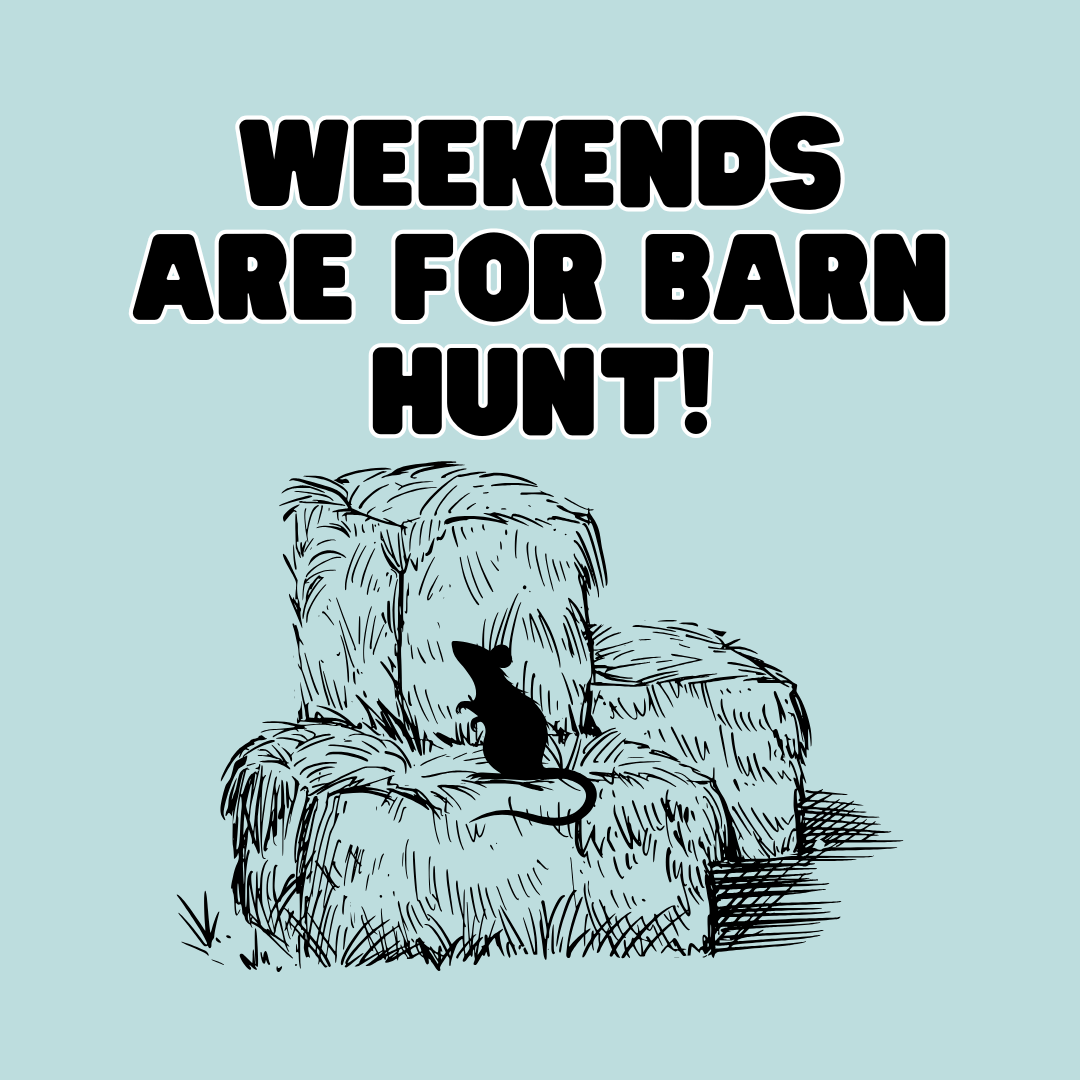 Barn Hunt 2" x 2" magnets - Bard and Bloom