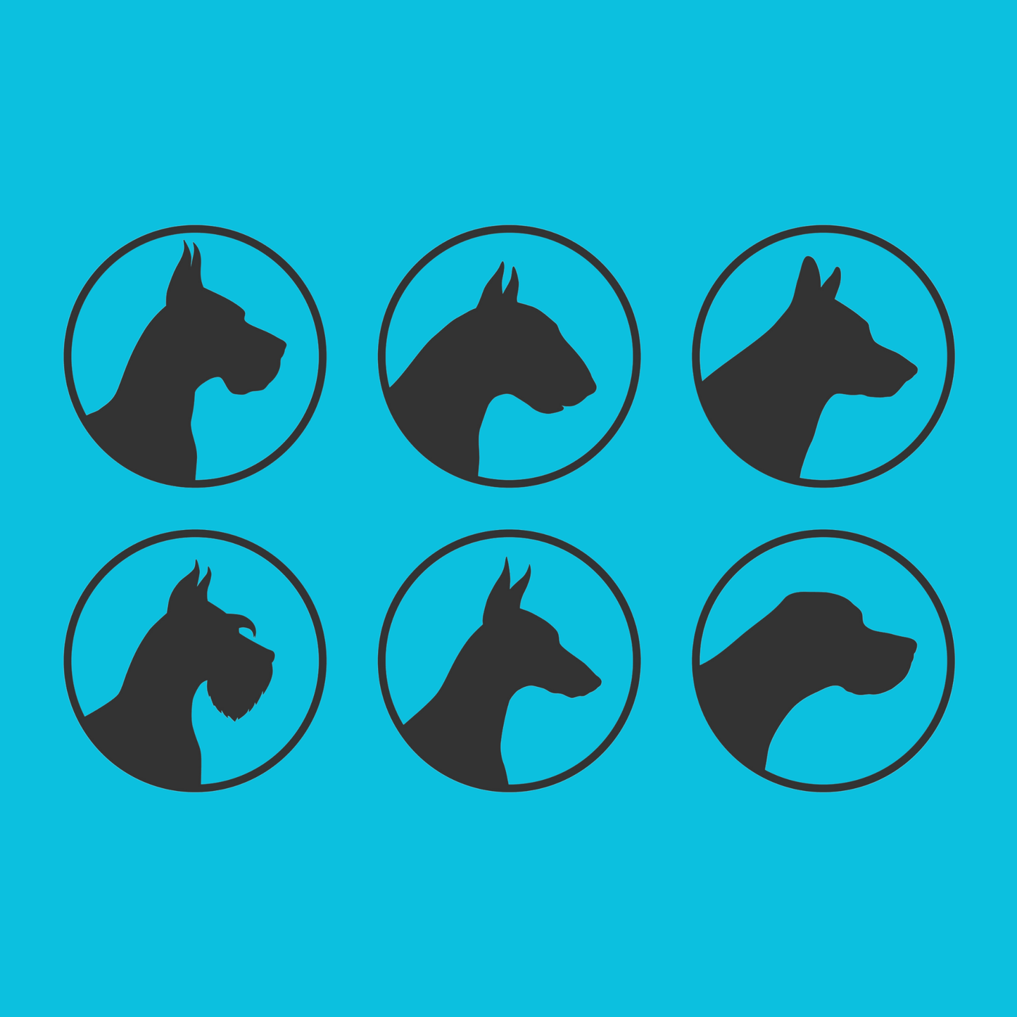 Colourful Breed Silhouette Magnets - Bard and Bloom