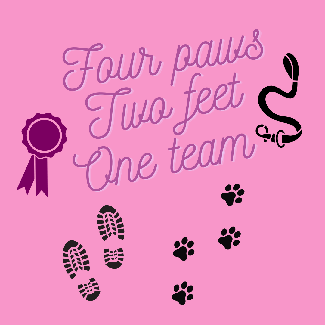 Conformation Dog Show 2" x 2" magnets - Bard and Bloom