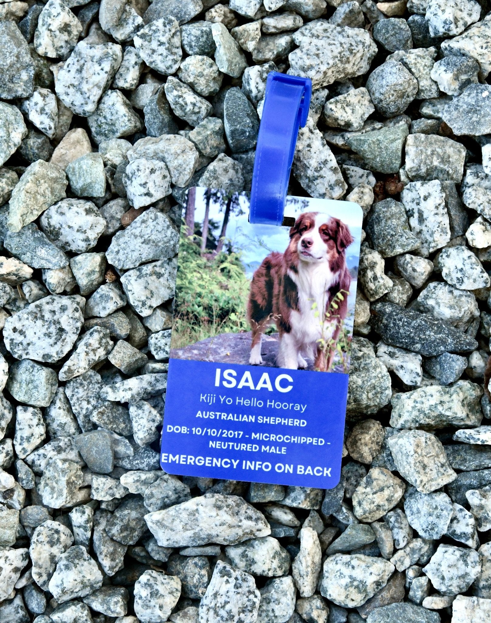 Custom Emergency Crate Tag for furry traveling companions – Bard