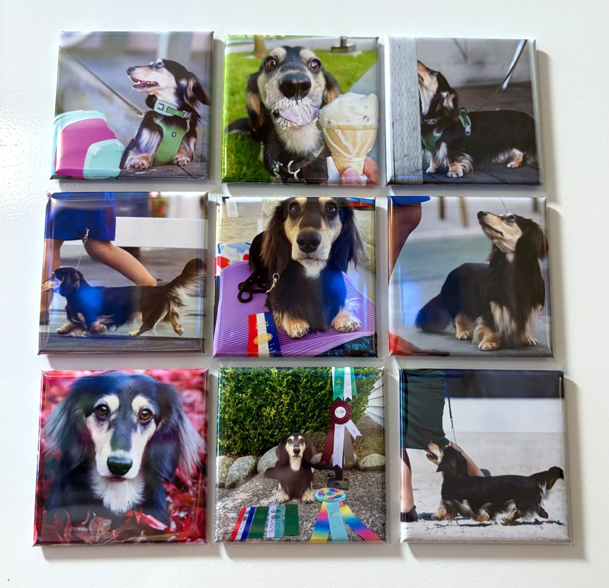 Photo magnets 2