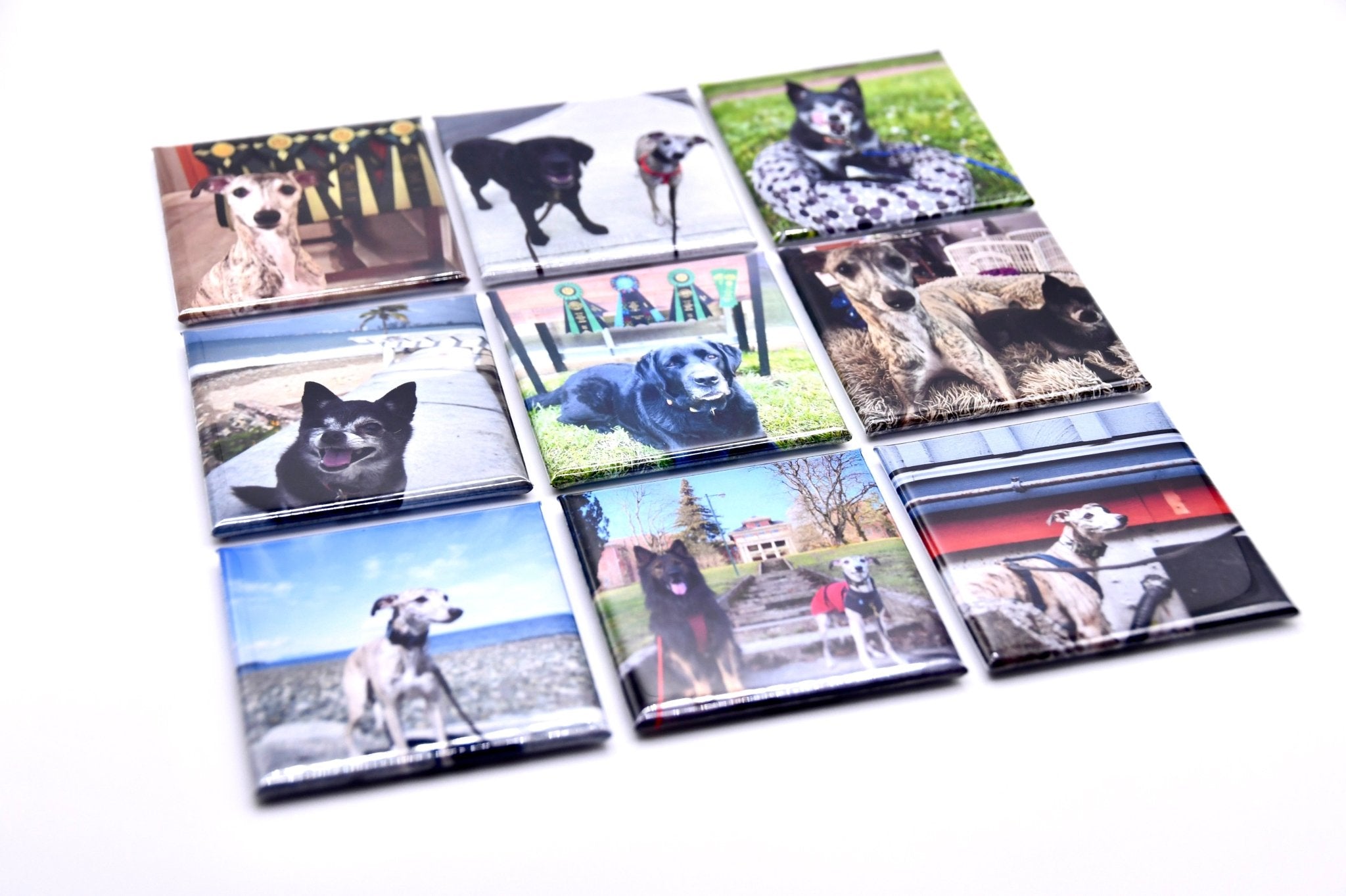 Photo magnets 2