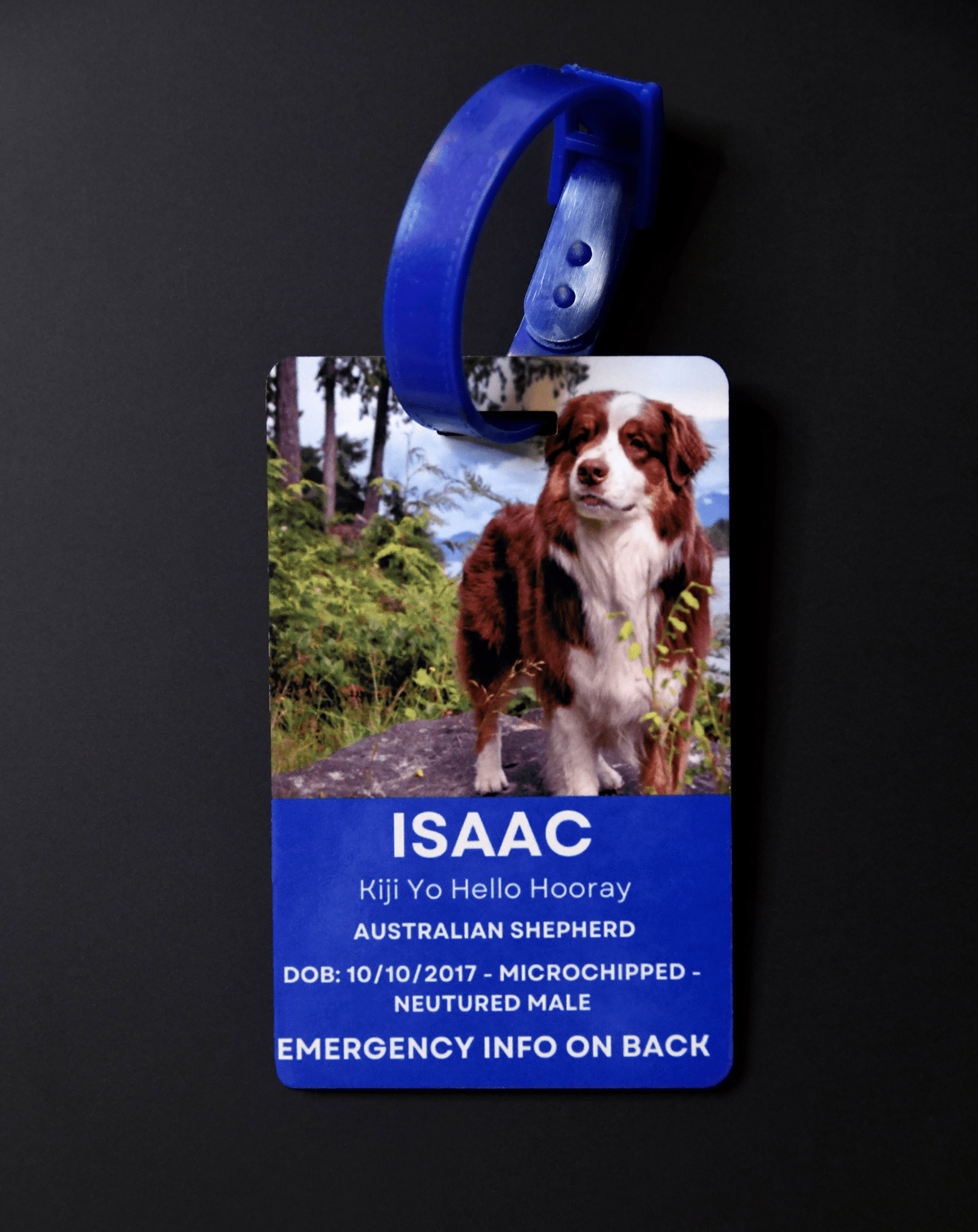 Custom Emergency Crate Tag for furry traveling companions – Bard and Bloom