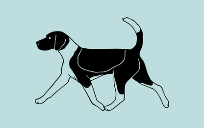 The Hound Group - Breed Silhouette Magnets - Bard and Bloom